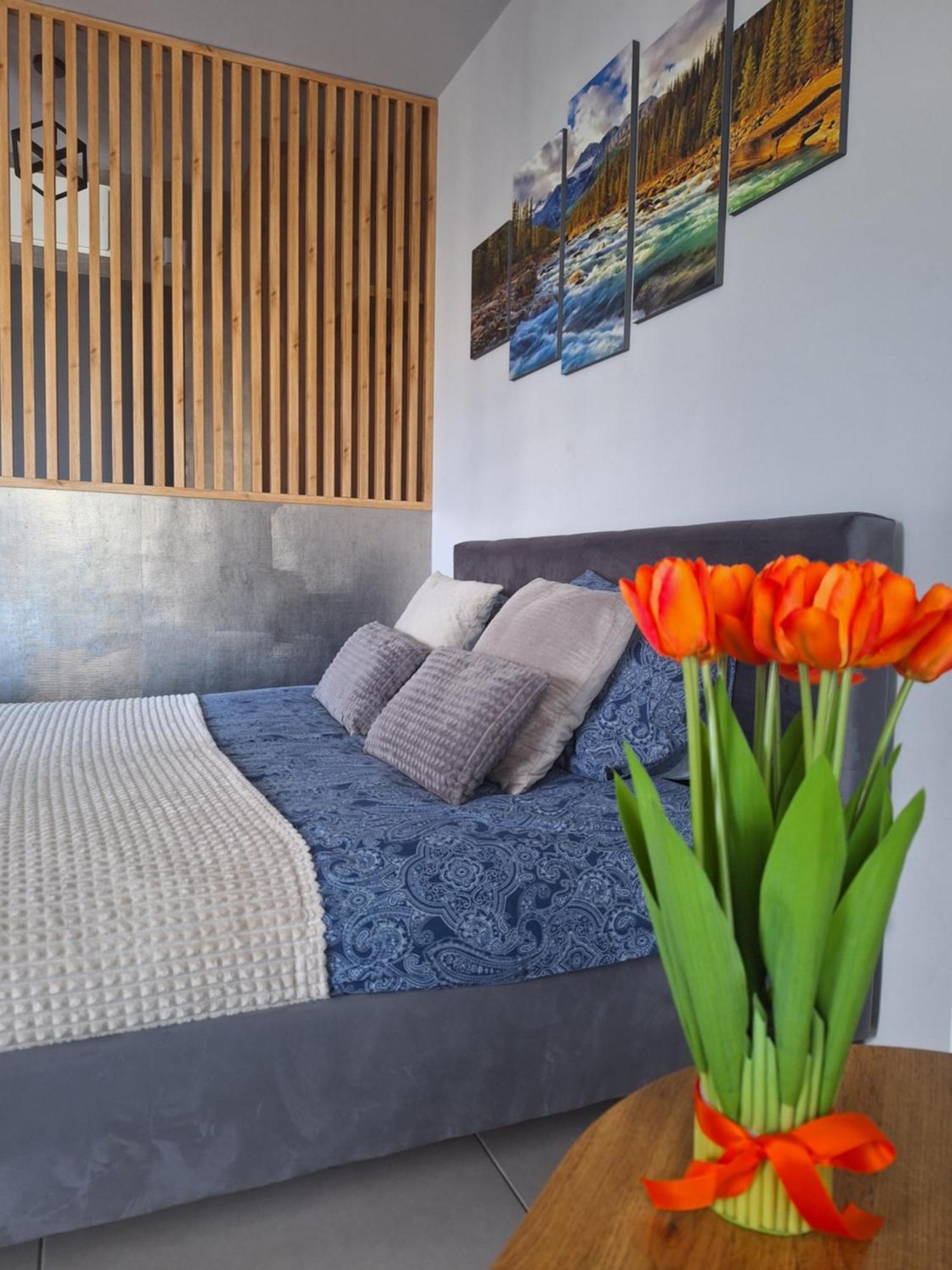 Apartament Gorska Szarotka Nowy Targ Luaran gambar